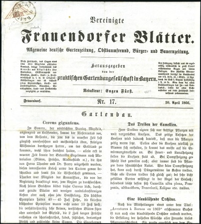 Stamp of Hungary ZEITUNGSSTEMPELMARKE1858-59 2Kr braun Type I dia