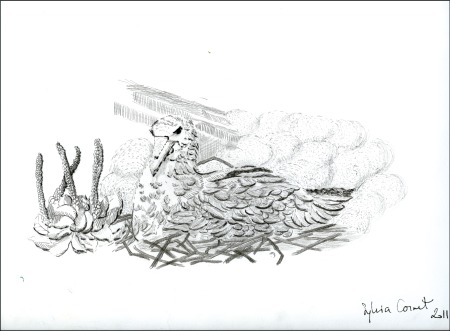 Stamp of Colonies françaises » TAAF 2012 Emission conjointe avec MONACO