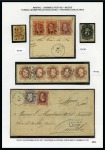 Stamp of Brazil 1866-79, Specialised exhibition collection on cancels 
