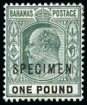 Stamp of Bahamas 1901-03 and 1902-10 SPECIMEN sets