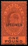 Stamp of Gibraltar » Collections 1912-27 Attractive group of mostly mint high values from 2s to £1, all with SPECIMEN ovpts, very fine and a scarce group (39) 