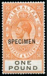 Stamp of Gibraltar » Collections 1912-27 Attractive group of mostly mint high values from 2s to £1, all with SPECIMEN ovpts, very fine and a scarce group (39) 