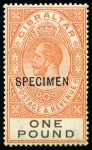 Stamp of Gibraltar » Collections 1912-27 Attractive group of mostly mint high values from 2s to £1, all with SPECIMEN ovpts, very fine and a scarce group (39) 