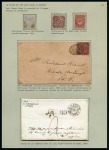 Stamp of Large Lots and Collections 1848-1980, Extensive Thematics collection of flowers neatly mounted on 172 exhibition pages