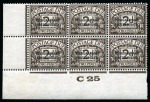 Stamp of Bechuanaland » Bechuanaland Protectorate POSTAGE DUES: 1926-61 Collection incl. control blocks