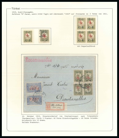 Stamp of Turkey 1916-1917 Vienna & Armistice Issues: collection ne