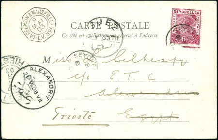 Stamp of Seychelles 1903 (May 8) Picture postcard ("Coco de Mer et ses