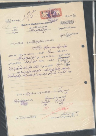 Stamp of Egypt 1908-22, Attractive group of 20 revenue documents,