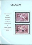 Stamp of Uruguay 1929-45, Neatly mounted specialised collection on