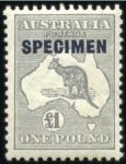 Stamp of Australia » Commonwealth of Australia 1931-36 10s, £1 and £2 with specimen overprints, m