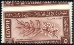 Stamp of Egypt 1938 Leprosy Congress set of three with oblique pe