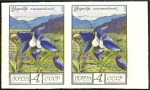 Stamp of Russia » Soviet Union 1976 Caucasus Flowers 2k and 4k IMPERF margin pair