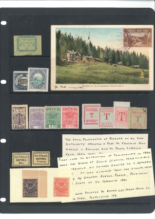 Stamp of Large Lots and Collections LOCALS: Group of Local issues on two stockpages, i