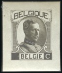 Stamp of Belgium » General issues from 1894 onwards 1922-27 Houyoux, deux épreuves photographiques de 