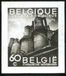 Stamp of Belgium » General issues from 1894 onwards 1948 60c Industrie chimique, épreuve photographiqu