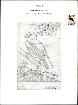 Stamp of Malawi 1968 Birds pencil essay on tracing paper of the Ye