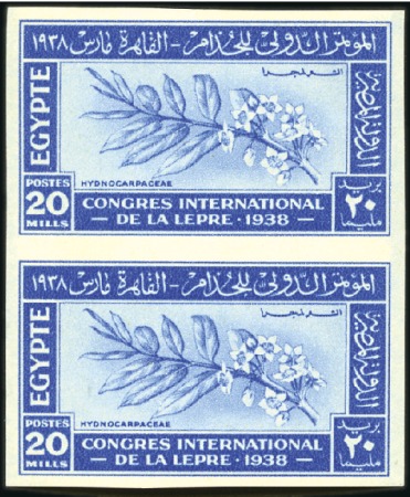 Stamp of Egypt » Commemoratives 1938 Leprosy Congress set of three in vertical IMP