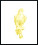 Stamp of United Arab Emirates 1990 Falcon imperf. proofs on 2 pages from the Cou