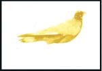 Stamp of Libya 1965 Birds imperf. proofs on 3 pages from the Cour