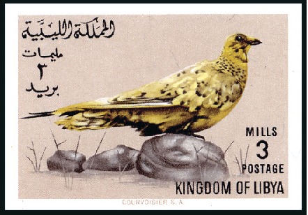 Stamp of Libya 1965 Birds imperf. proofs on 3 pages from the Cour