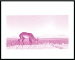 Stamp of Libya 1992 Oasis imperf. progressive proofs on a page fr