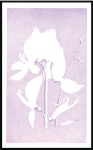 Stamp of Libya 1976 Flowers imperf. progressive proofs on two pag