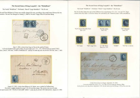 Stamp of Belgium » Belgique. 1863 Médaillons dentelés (COB 13-16) 20c Bleu, petit lot montrant les trois types de de