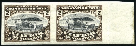 Stamp of Bolivia 1924 2b Sepia imperf. proof with INVERTED CENTRE,