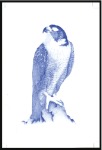 Stamp of Qatar 1993 Falcons imperf. progressive proofs on four pa
