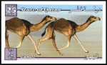 Stamp of Qatar 1999 Camels progressive proofs on 2 pages from the
