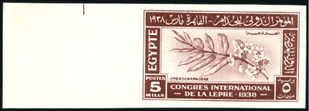 Stamp of Egypt » Commemoratives 1938 Leprosy Congress 5m red-brown left marginal i