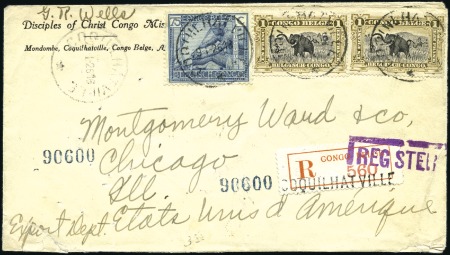 Stamp of Belgian Congo » General Issues from 1909 (June) 1915 "Bilingues modifiés" 1F olive (2) avec type "