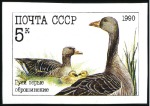 Stamp of Russia » Soviet Union 1990 Poultry, complete IMPERFORATE set, never hing