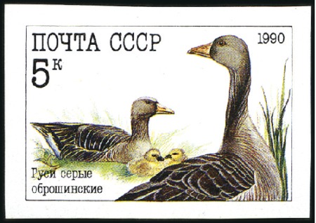 Stamp of Russia » Soviet Union 1990 Poultry, complete IMPERFORATE set, never hing