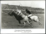 Stamp of Germany » German Empire » German Empire, 1933/45 Third Reich Photographs: Wolf & Tritschier attractive selectio