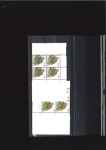 Stamp of Belgium 2002 Oiseaux de Buzin, 41c Tourtelle turque, petit