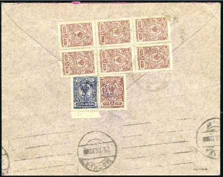 Stamp of Ukraine 1922 Cover to Czechoslovakia franked at back viole