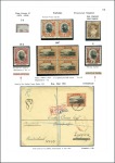 Stamp of Tonga 1886-1972, Comprehensive exhibition collection in 