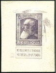 Stamp of Belgium » General issues from 1894 onwards 1905 Grosse Barbe, Lot d'épreuves et d'essais dont