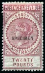 Stamp of Australia » South Australia 1855-1909 Old-time collection on four large hand-drawn album pages incl. Specimens