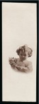 Stamp of Egypt » Commemoratives 1940 Child Welfare Issue group of three essays