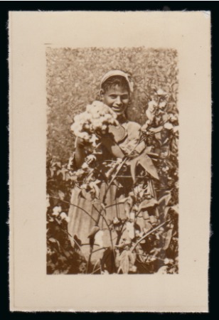 Stamp of Egypt » Commemoratives 1938 18th International Cotton Congress 15m photographic essay of the adopted centre design only