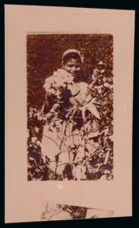 Stamp of Egypt » Commemoratives 1938 18th International Cotton Congress 15m photographic essay of the adopted centre design only