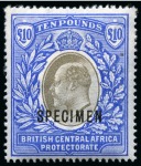 Stamp of Nyasaland 1896-1953 Old-time collection on seven large hand-drawn