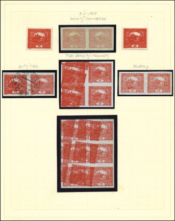 Stamp of Czechoslovakia 1918-20 Hradcany issue: Enormous specialised colle