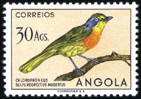 Stamp of Portuguese Colonies » Angola 1951 Birds, complete set of 24 values, never hinge