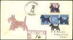Stamp of Large Lots and Collections 1820-2008, Large Vermeil DOG THEMATIC exhibition c