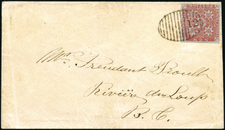 Stamp of Large Lots and Collections 1810-2008, FLOWERS THEMATIC exhibition collection 