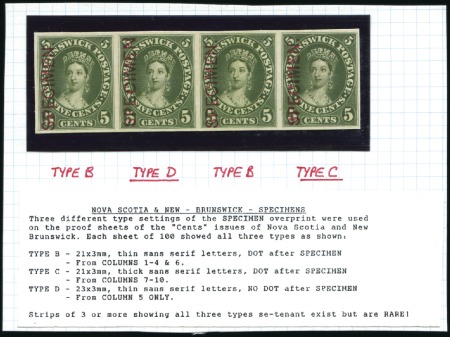 Stamp of Canada » New Brunswick 1860 5c Chalon selection incl. imperf. plate proof