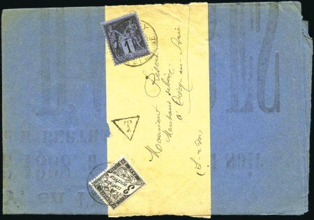 Stamp of France 1881-1921, Superbe collection sur les TAXES DUVAL 